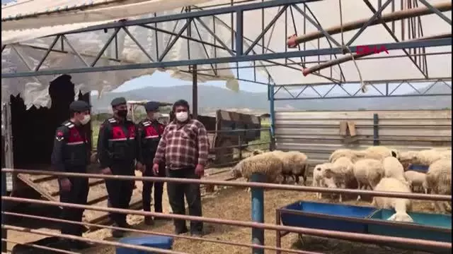 Son dakika haberi... KOYUN HIRSIZLARI 147 SAAT GÜVENLİK KAMERASI İZLENEREK YAKALANDI Son dakika haberi... KOYUN HIRSIZLARI 147 SAAT GÜVENLİK KAMERASI İZLENEREK YAKALANDI