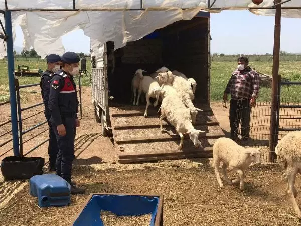 Son dakika haberi... KOYUN HIRSIZLARI 147 SAAT GÜVENLİK KAMERASI İZLENEREK YAKALANDI Son dakika haberi... KOYUN HIRSIZLARI 147 SAAT GÜVENLİK KAMERASI İZLENEREK YAKALANDI