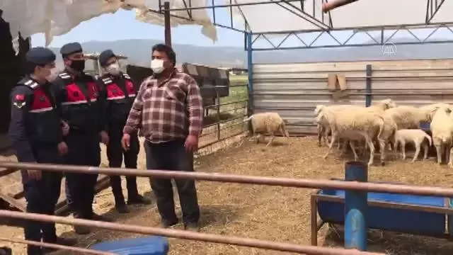 Küçükbaş hayvan çaldığı öne sürülen 3 kişi tutuklandı Küçükbaş hayvan çaldığı öne sürülen 3 kişi tutuklandı