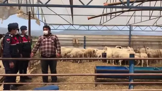 Küçükbaş hayvan çaldığı öne sürülen 3 kişi tutuklandı Küçükbaş hayvan çaldığı öne sürülen 3 kişi tutuklandı