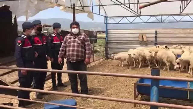 Küçükbaş hayvan çaldığı öne sürülen 3 kişi tutuklandı Küçükbaş hayvan çaldığı öne sürülen 3 kişi tutuklandı