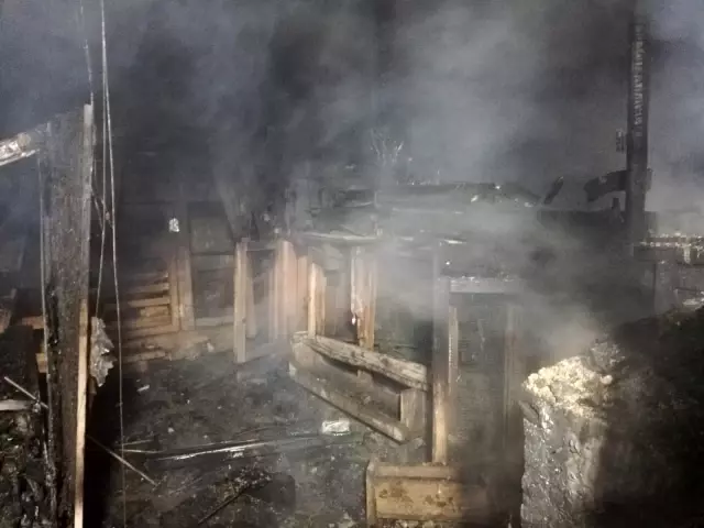 Son dakika haberi... Kümes yangınında tavuk ve civcivler telef oldu Son dakika haberi... Kümes yangınında tavuk ve civcivler telef oldu