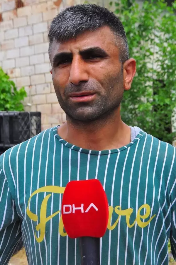 Manisa'nın 'dumanlı papaz' eriğinde hasat başladı Manisa'nın 'dumanlı papaz' eriğinde hasat başladı