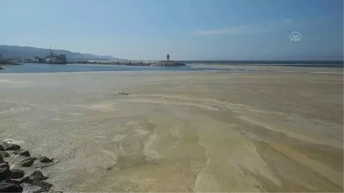 Marmara Denizi'nin birçok noktasına yayılan 'deniz salyası' Mudanya sahilini de kapladı