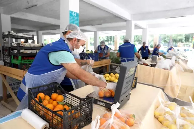 Marmaris Belediyesi üreticinin yüzünü güldürüyor Marmaris Belediyesi üreticinin yüzünü güldürüyor