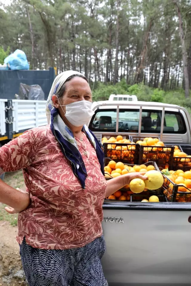 Marmaris Belediyesi üreticinin yüzünü güldürüyor Marmaris Belediyesi üreticinin yüzünü güldürüyor