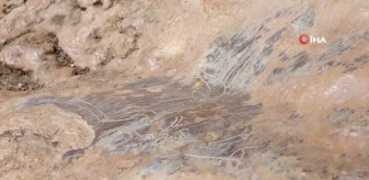 Mersin'de bir mağarada bulunan 8 bin yıllık kaya resimleri için ilk adım atılıyor