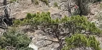 Ulusal Medikal Kurtarma Ekibi: Muğla'da kayalıklardan düşen Ukraynalı turist 4 saatte kurtarıldı Ulusal Medikal Kurtarma Ekibi: Muğla'da kayalıklardan düşen Ukraynalı turist 4 saatte kurtarıldı
