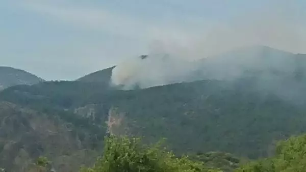 MUĞLA'DA ORMAN YANGINI, 2 HEKTAR ALAN KÜL OLDU MUĞLA'DA ORMAN YANGINI, 2 HEKTAR ALAN KÜL OLDU