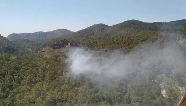 MUĞLA'DA ORMAN YANGINI, 2 HEKTAR ALAN KÜL OLDU MUĞLA'DA ORMAN YANGINI, 2 HEKTAR ALAN KÜL OLDU