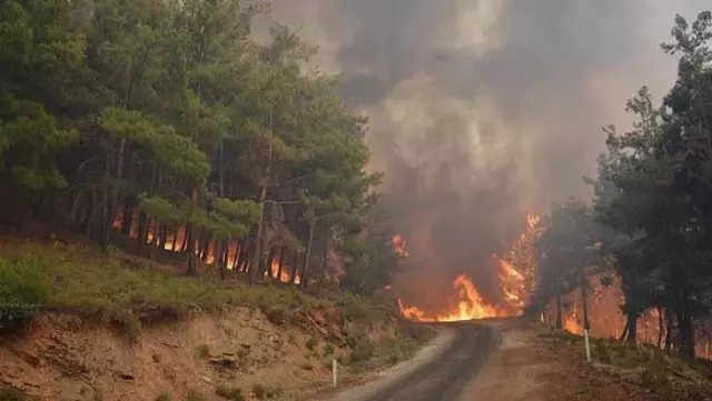 Muğla'nın Ortaca ilçesinde orman yangını çıktı Muğla'nın Ortaca ilçesinde orman yangını çıktı