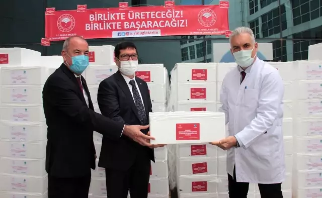 Pandemi savaşçılarına 20 ton balık Pandemi savaşçılarına 20 ton balık