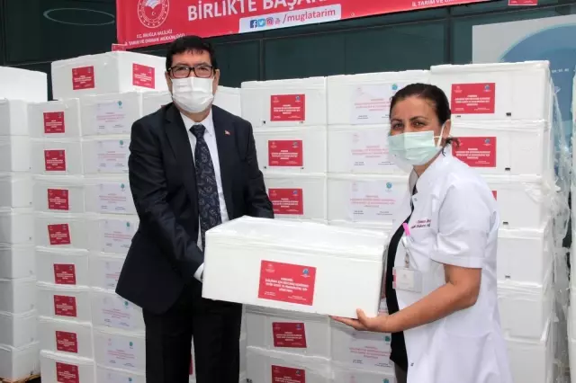 Pandemi savaşçılarına 20 ton balık Pandemi savaşçılarına 20 ton balık
