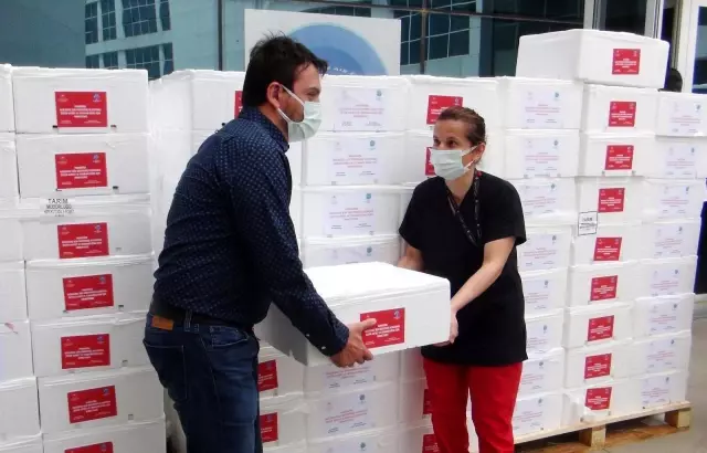 Pandemi savaşçılarına 20 ton balık Pandemi savaşçılarına 20 ton balık