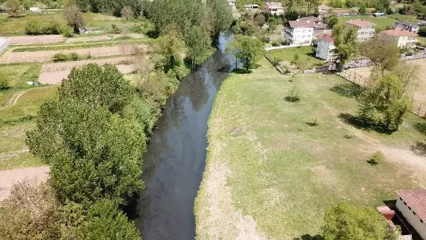 BEYKOZ'DAKİ RİVA DERESİ TEKRAR KARARDI; 'KANALİZASYON GİBİ AKIYOR' BEYKOZ'DAKİ RİVA DERESİ TEKRAR KARARDI; 'KANALİZASYON GİBİ AKIYOR'