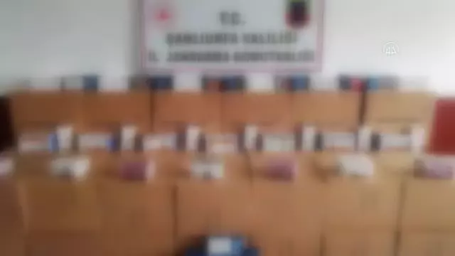 Son dakika haber! Şanlıurfa'da kaçak puro ve makaron operasyonu Son dakika haber! Şanlıurfa'da kaçak puro ve makaron operasyonu