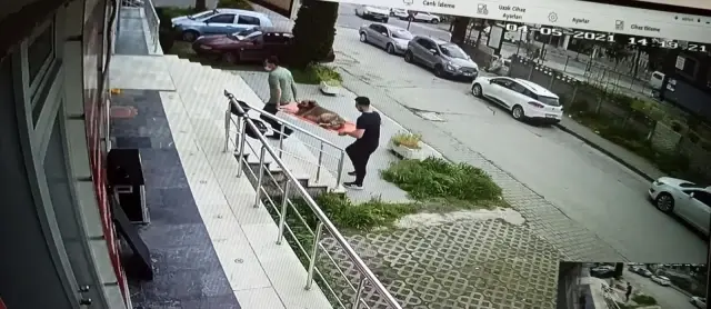 Sokak köpeğine çarpan sürücüden örnek davranış Sokak köpeğine çarpan sürücüden örnek davranış
