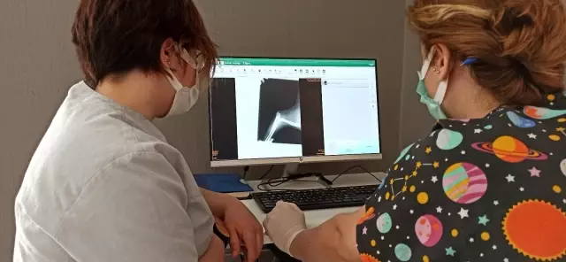 Sokak köpeğine çarpan sürücüden örnek davranış Sokak köpeğine çarpan sürücüden örnek davranış
