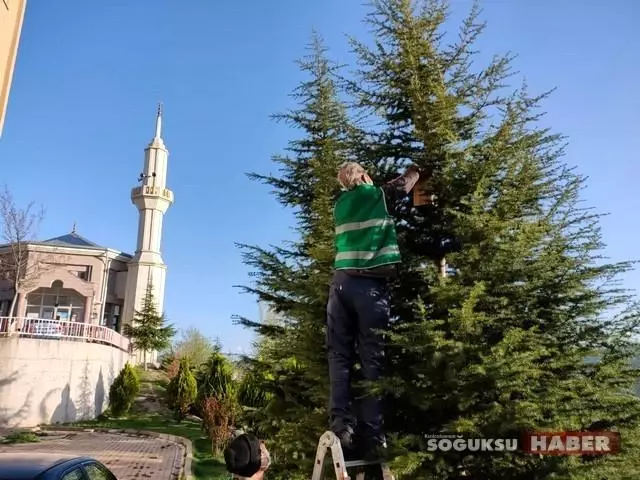 TOKİ konutlarında hayvan sevgisi sınır tanımıyor TOKİ konutlarında hayvan sevgisi sınır tanımıyor