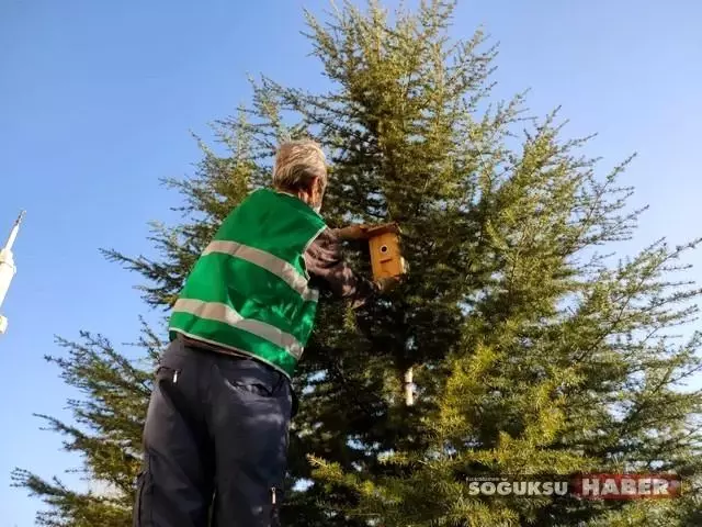 TOKİ konutlarında hayvan sevgisi sınır tanımıyor TOKİ konutlarında hayvan sevgisi sınır tanımıyor