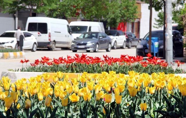 van da laleler park ve bahceleri suslemeye ba 3 14112119 o