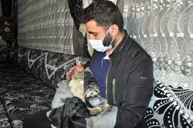Yaralı kediye şefkat eli...Kediyi ceketine sararak veterinere teslim etti Yaralı kediye şefkat eli...Kediyi ceketine sararak veterinere teslim etti