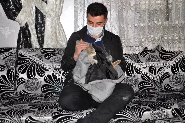 Yaralı kediye şefkat eli...Kediyi ceketine sararak veterinere teslim etti Yaralı kediye şefkat eli...Kediyi ceketine sararak veterinere teslim etti