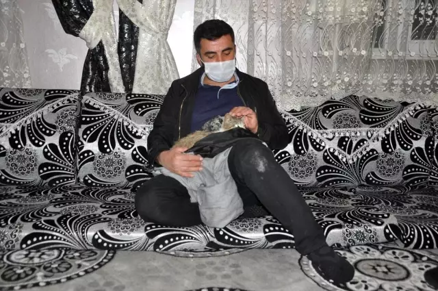 Yaralı kediye şefkat eli...Kediyi ceketine sararak veterinere teslim etti Yaralı kediye şefkat eli...Kediyi ceketine sararak veterinere teslim etti