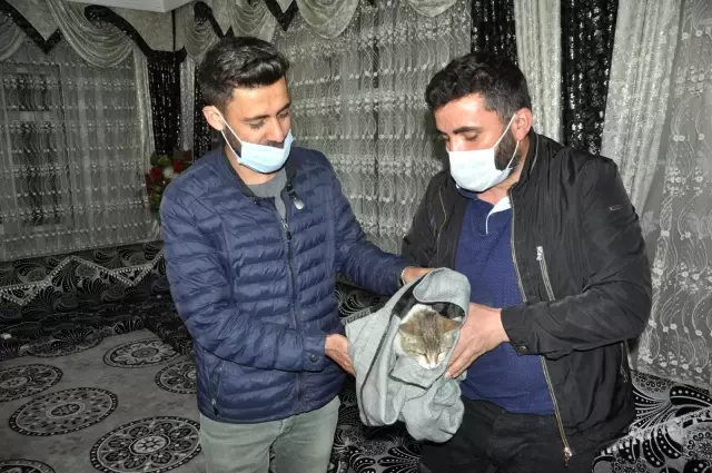 Yaralı kediye şefkat eli...Kediyi ceketine sararak veterinere teslim etti Yaralı kediye şefkat eli...Kediyi ceketine sararak veterinere teslim etti