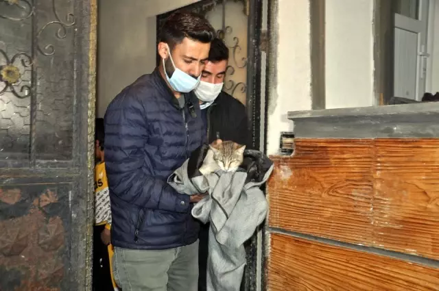 Yaralı kediye şefkat eli...Kediyi ceketine sararak veterinere teslim etti Yaralı kediye şefkat eli...Kediyi ceketine sararak veterinere teslim etti