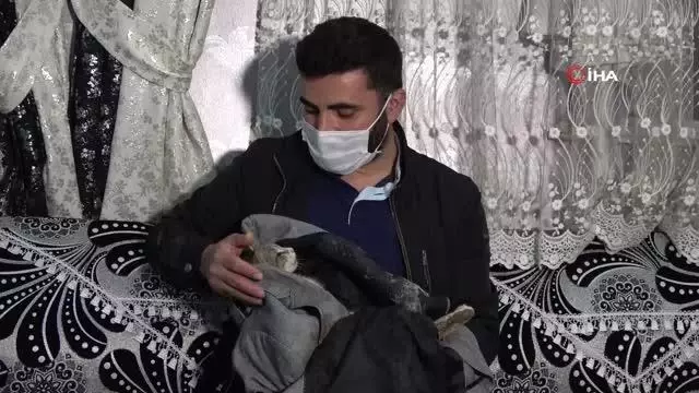 Yaralı kediye şefkat eli...Kediyi ceketine sararak veterinere teslim etti Yaralı kediye şefkat eli...Kediyi ceketine sararak veterinere teslim etti