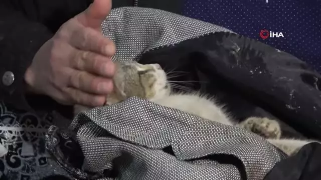 Yaralı kediye şefkat eli...Kediyi ceketine sararak veterinere teslim etti Yaralı kediye şefkat eli...Kediyi ceketine sararak veterinere teslim etti