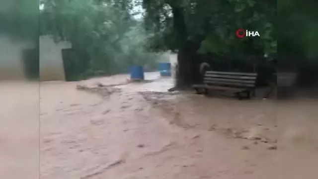 Adana'yı vuran sağanak yağışta ilginç diyalog: 'Neco sel'e giden geri gel geri gel' diyerek uyardı Adana'yı vuran sağanak yağışta ilginç diyalog: 'Neco sel'e giden geri gel geri gel' diyerek uyardı