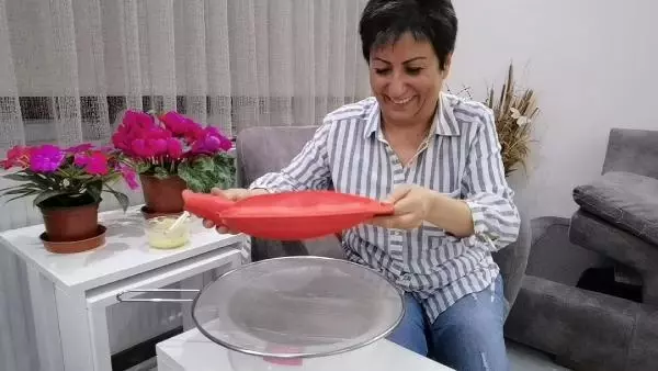Anneleri ölen 6 kırlangıcı şırıngayla besliyor