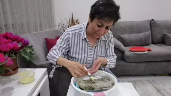 Anneleri ölen 6 kırlangıcı şırıngayla besliyor