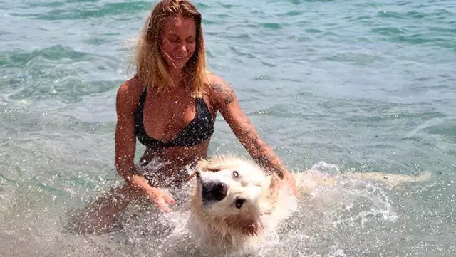 Antalya sahilleri onlara kaldı! Rus turist, köpeğini de 9 kilometre uçak yolculuğuyla tatile getirdi Antalya sahilleri onlara kaldı! Rus turist, köpeğini de 9 kilometre uçak yolculuğuyla tatile getirdi