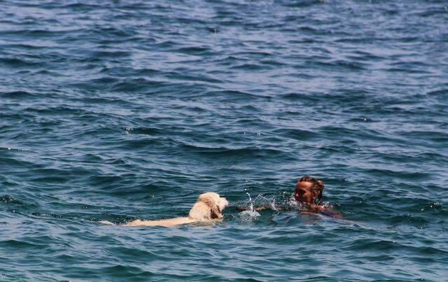 Antalya sahilleri onlara kaldı! Rus turist, köpeğini de 9 kilometre uçak yolculuyla tatile getirdi Antalya sahilleri onlara kaldı! Rus turist, köpeğini de 9 kilometre uçak yolculuyla tatile getirdi
