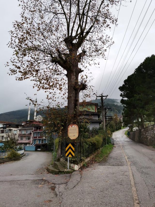 basiskele yi tanitan ilk turizm haritasi basi 3 14114667 o