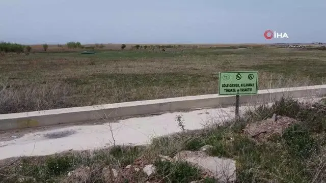 Bir zamanlar göldü, şimdi hayvanlar otluyor Bir zamanlar göldü, şimdi hayvanlar otluyor