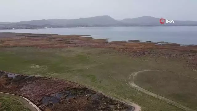 Bir zamanlar göldü, şimdi hayvanlar otluyor Bir zamanlar göldü, şimdi hayvanlar otluyor