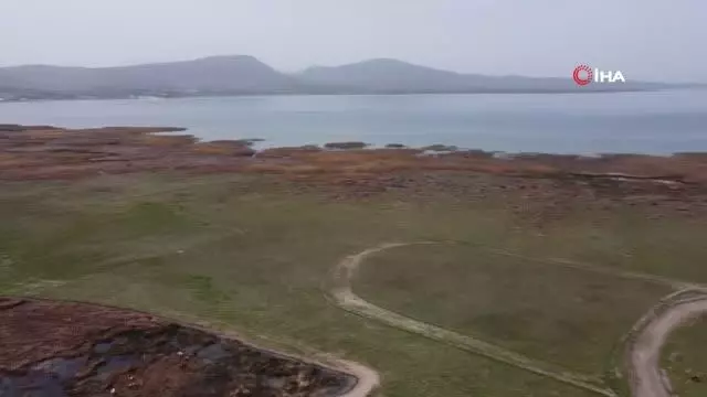 Bir zamanlar göldü, şimdi hayvanlar otluyor Bir zamanlar göldü, şimdi hayvanlar otluyor