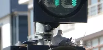 Trafik lambası kumruya yuva oldu