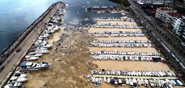 DENİZ SALYASIYLA KAPLANAN MUDANYA YAT LİMANI, HAVADAN GÖRÜNTÜLENDİ DENİZ SALYASIYLA KAPLANAN MUDANYA YAT LİMANI, HAVADAN GÖRÜNTÜLENDİ
