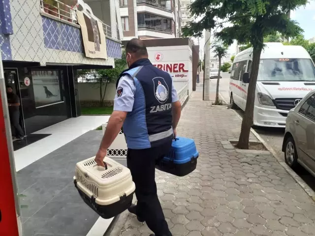 Evde kalan vatandaşların imdadına zabıta yetişiyor Evde kalan vatandaşların imdadına zabıta yetişiyor