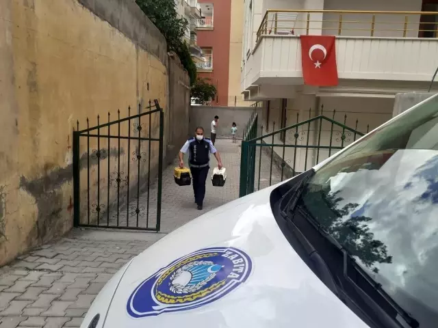 Evde kalan vatandaşların imdadına zabıta yetişiyor Evde kalan vatandaşların imdadına zabıta yetişiyor