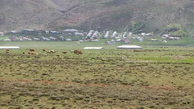Kötü kokulara dayanamayan köylü ortaya çıkardı! Çukurdan parçalanmış ceset çıktı Kötü kokulara dayanamayan köylü ortaya çıkardı! Çukurdan parçalanmış ceset çıktı