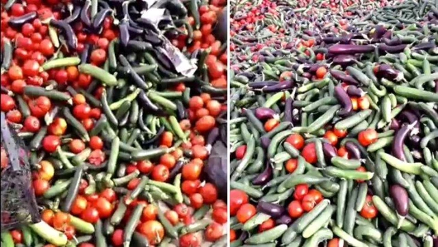 Marketlerde fiyatlar cep yakarken tarlada sebzelerden çöp dağları oluştu