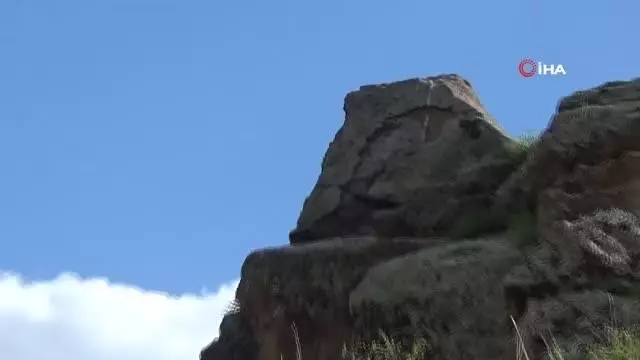 Kars'ta kayalıktaki Yunus figürü dikkat çekiyor Kars'ta kayalıktaki Yunus figürü dikkat çekiyor