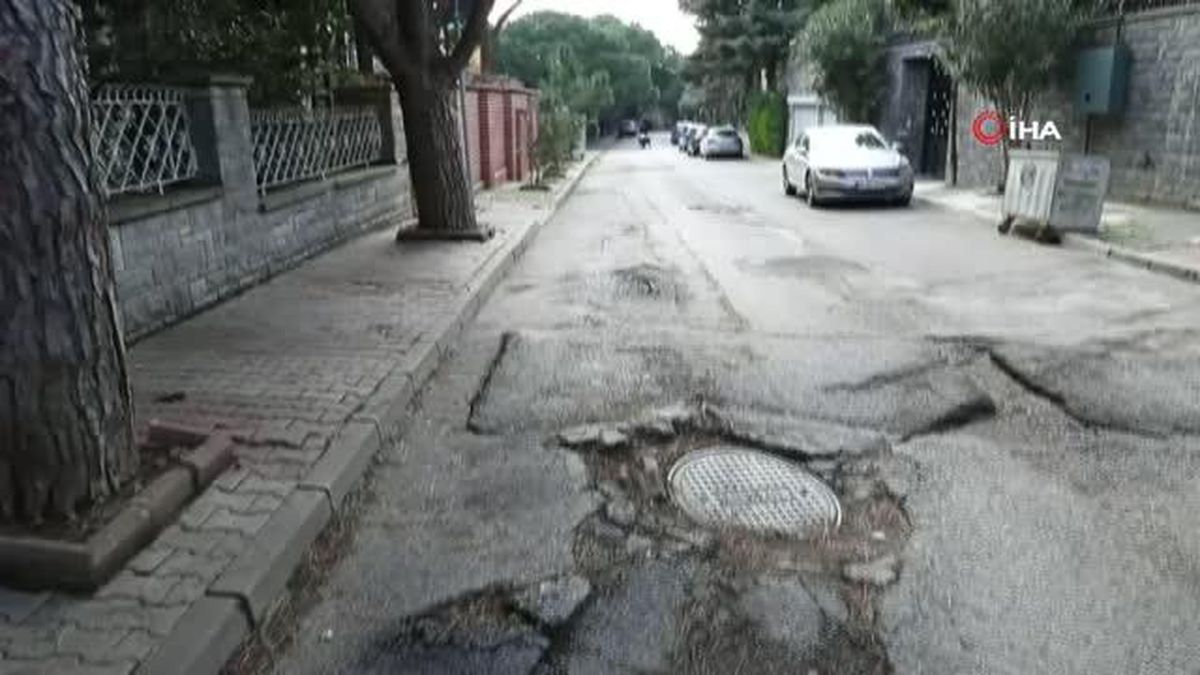 Kartal'da yarım asırlık ağaçlara 'Nefes Borusu' ile can veriliyor