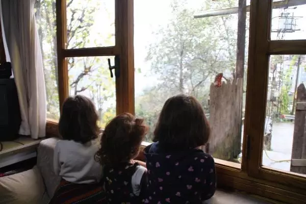 Rize'de tam kapanmada köyler doldu; uyarı geldi Rize'de tam kapanmada köyler doldu; uyarı geldi